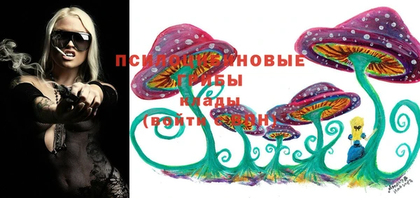 таблы Пересвет