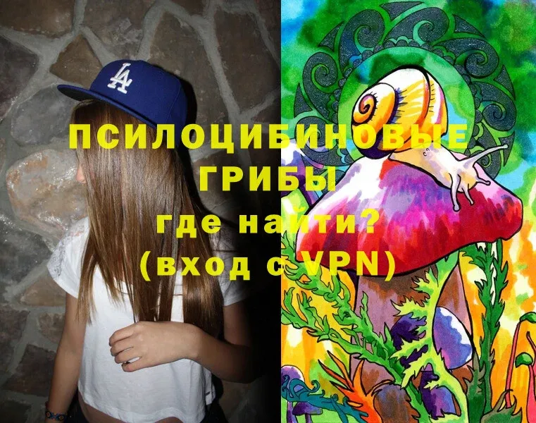 Псилоцибиновые грибы Cubensis  Белогорск 