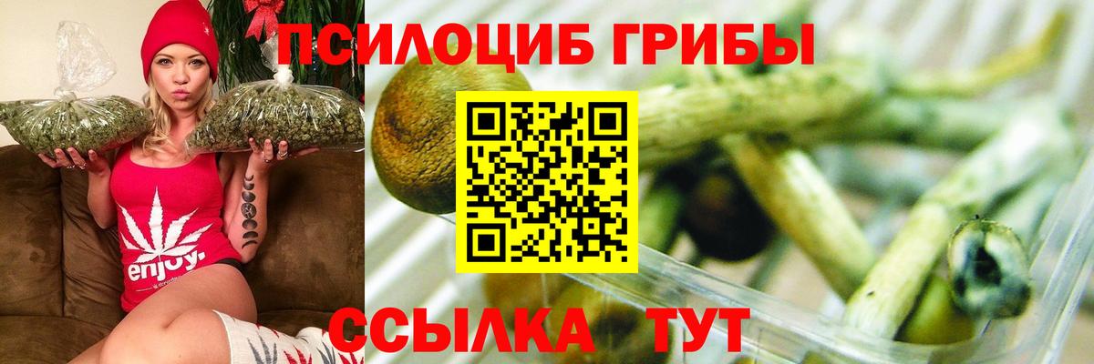 Псилоцибиновые грибы Psilocybe  Вход с VPN  Белогорск 